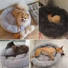 The MOONEST™ Cloud Bed | Anti-Anxiety Calming Donut for Cats & Dogs